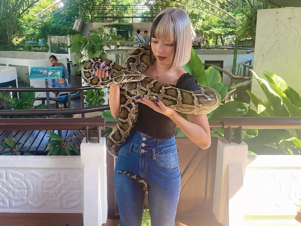 怖いもの無しのまえのめりさん