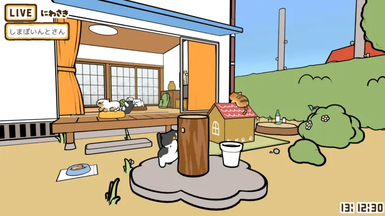 遊んでいる猫たち。かわいい。みんな違って、みんなかわいい／画像は「ねこあつめ にわさきライブ」から
