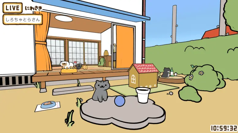 挨拶してくれてそうな猫／画像は「ねこあつめ にわさきライブ」から