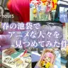 『ドキュメント72時間』が池袋のアニメグッズ買取店に密着／画像は『ドキュメント72時間』の公式Xから