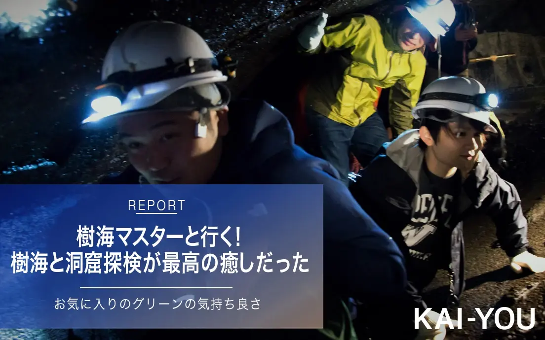 仕事で疲れたら樹海へ行こう! 森林浴と洞窟探検が最高の癒しだった