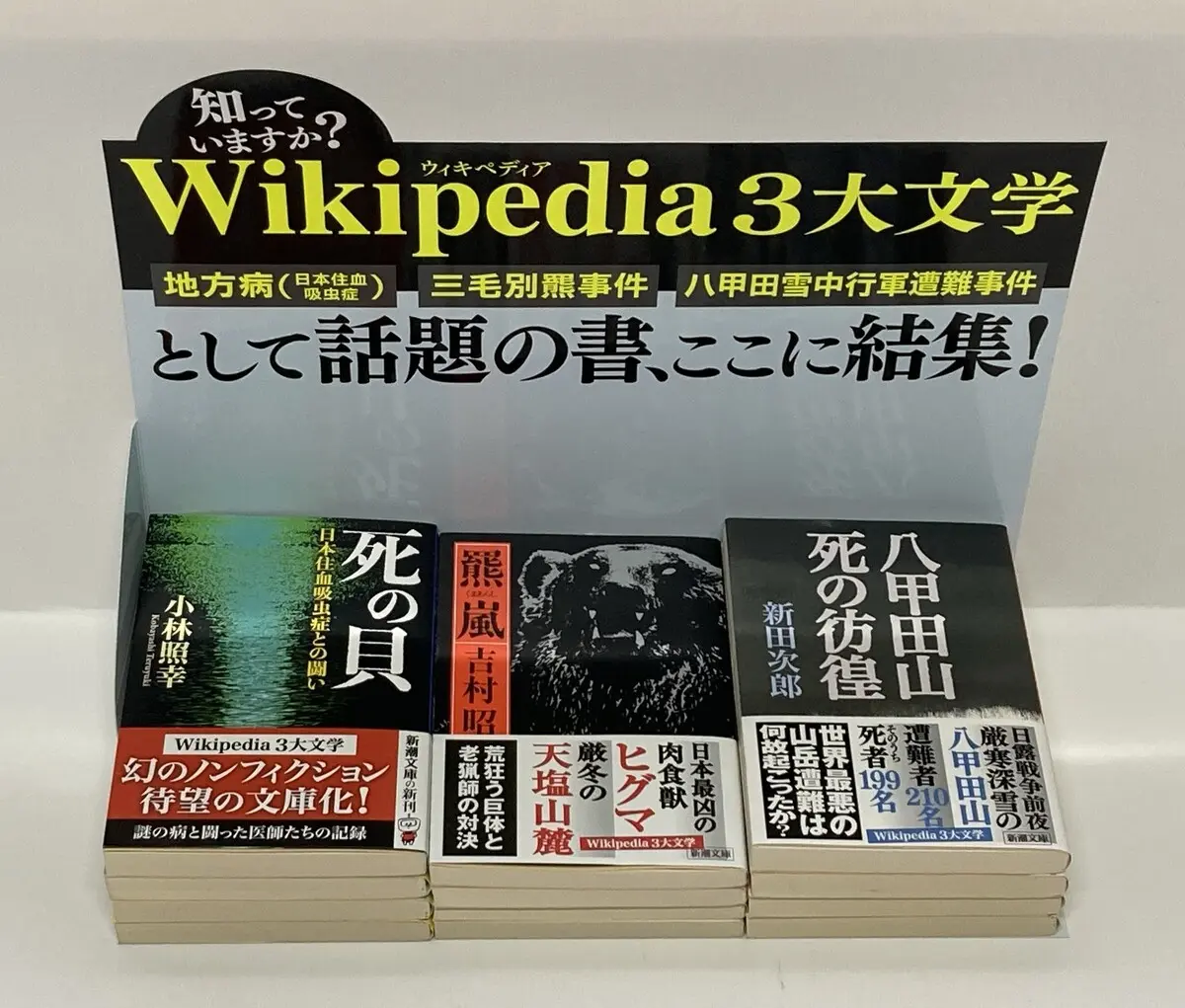 この機会に3冊コンプリートしてみては？