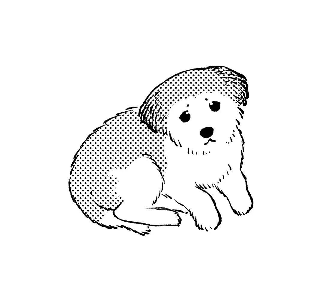 桐島由紀　近影／©︎桐島由紀／集英社