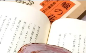 チャーシューにしか見えない「しおり」が美味しそう ※食べられません