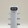 ネコ型配膳ロボット「べラボット」プラモデル正面／画像は特設サイトより