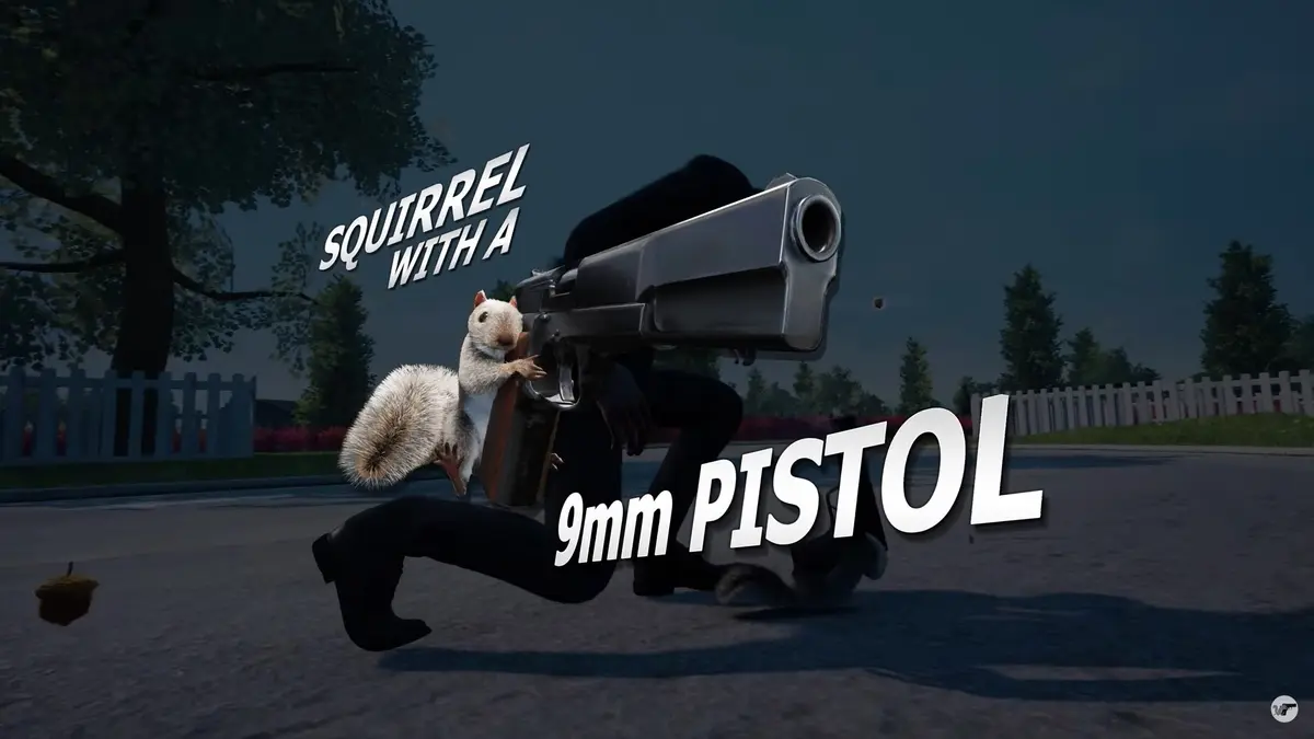 『Squirrel with a Gun』1