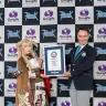 『ラグナロクオンライン』公式コスプレイヤーギネス認定時のよきゅーんさん2