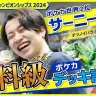 『ポケカ』世界2位サーニーゴ選手のデッキ診断がヤバすぎた【PJCS2024】