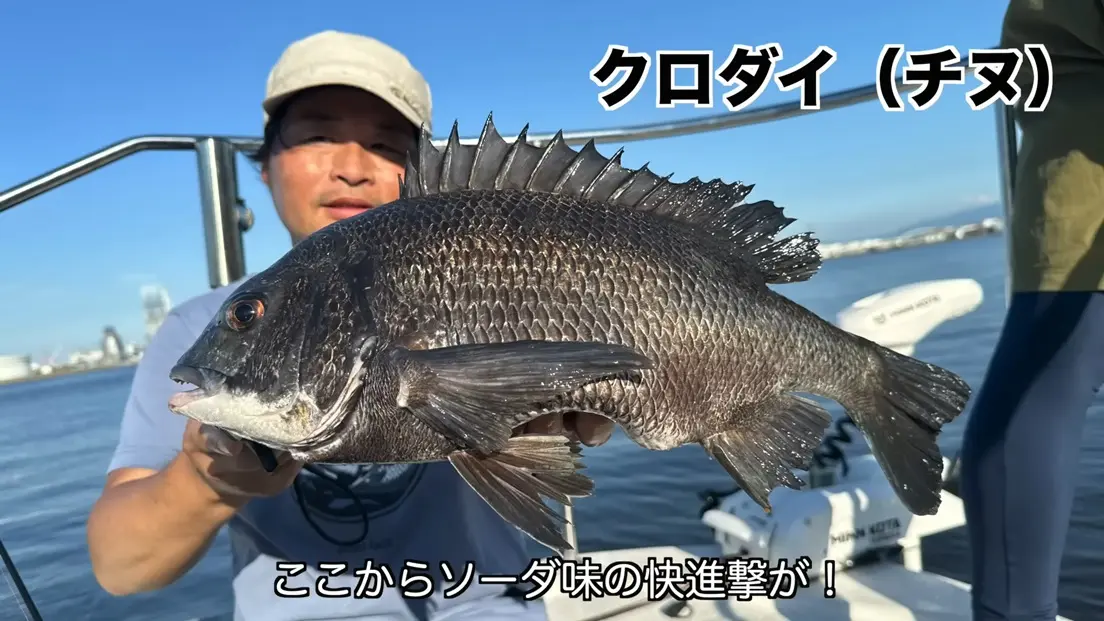 タフグミ（ソーダ味）で釣れたクロダイ／画像はYouTubeより