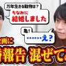 【検証】クイズ王ならクイズの最中に結婚報告されても集中して答え続けられる説【ご報告】