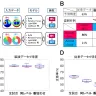 試合直前の脳波データを用いた勝敗予測の結果／画像はNTTコミュニケーション科学基礎研究所の発表より