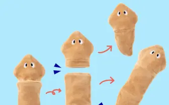 切っても再生する不思議生物「プラナリア」 分裂するポーチが面白すぎる