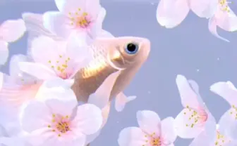 金魚を飼う、スマホで──水音と波紋が心地良いアプリ『RYUKIN』に癒される