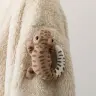 ニトリの着る毛布「ヒョウモントカゲ」