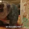 可愛い生き物もいます