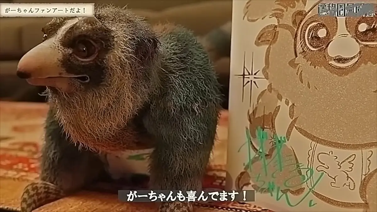 可愛い生き物もいます