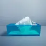 原案となった「氷山になるティッシュケース」のモックアップ