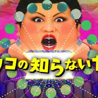 「マツコの知らない世界」