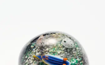 ガラス工芸で生き物の美を表現──生物系ガラス作家 増永元の展覧会が開催