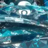 テラスタル化したヘイラッシャ