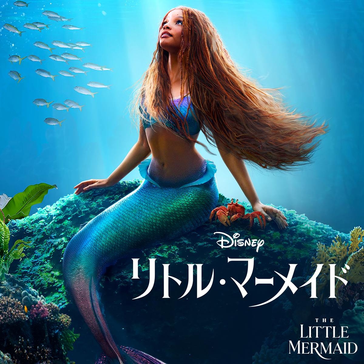 「リトルマーメイド　実写版」
DVDディスク
純正ケース付き Little_Mermaid.jpg