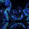 アート空間「teamLab Phenomena Abu Dhabi」先行公開作品5