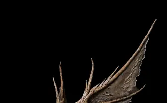 ダンボール製のドラゴンがド迫力！ 雄々しい造形と細部に宿る躍動感