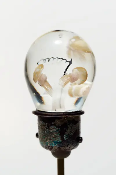 「ガラスの中の生き物たち-増永元作品展-」での展示作品3