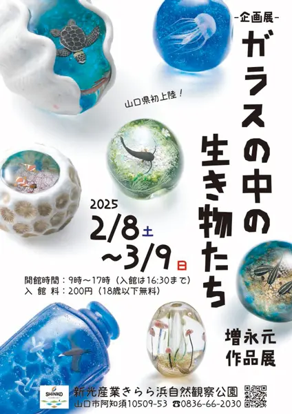 「ガラスの中の生き物たち-増永元作品展-」