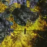 アート空間「teamLab Phenomena Abu Dhabi」先行公開作品4