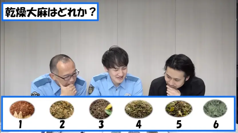 警察官も頭を悩ます（？）乾燥大麻の見分け方／画像はYouTubeより