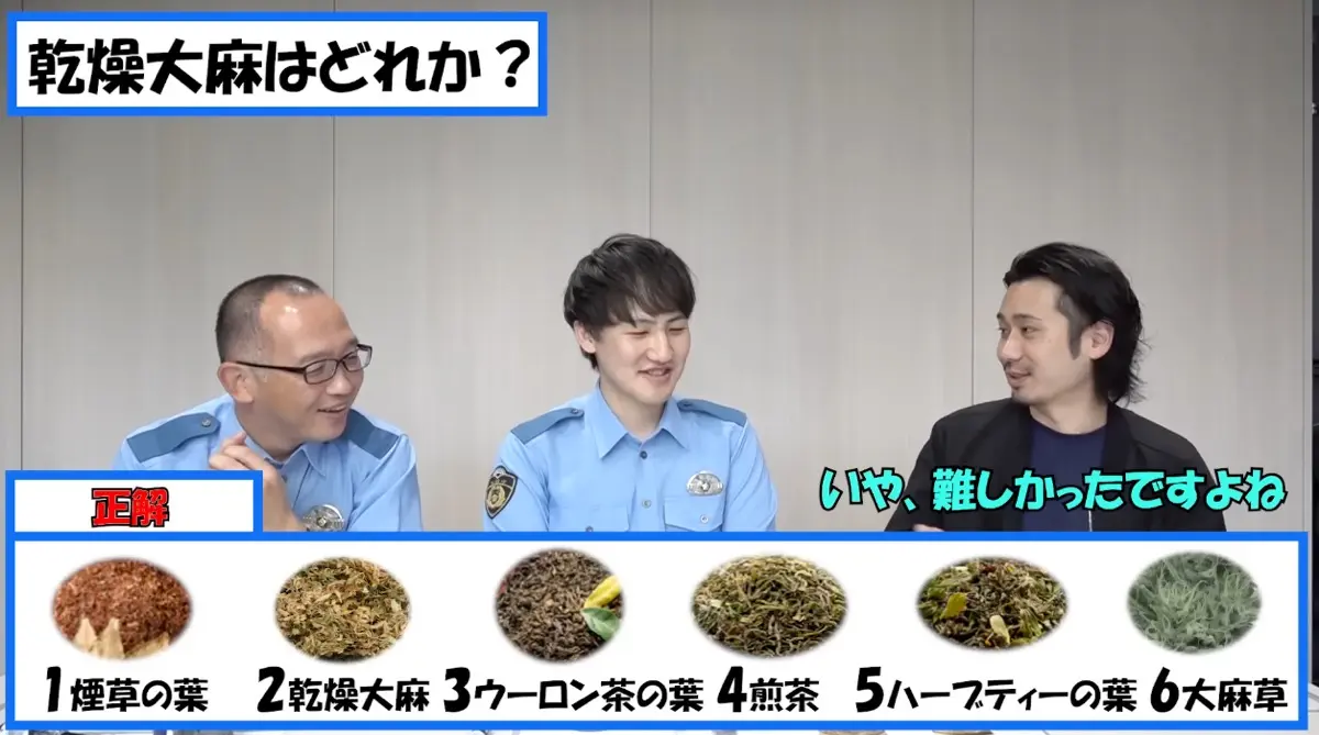 乾燥大麻はどれか？の正解／画像はYouTubeより