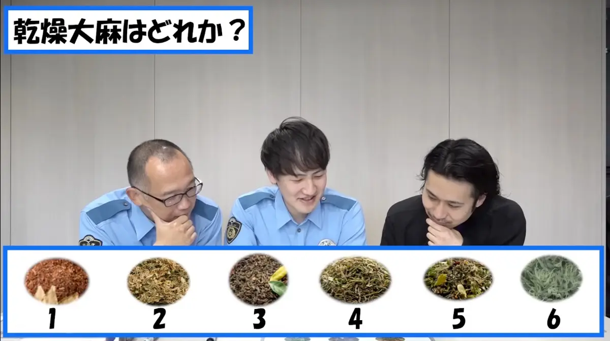 乾燥大麻はどれか？／画像はYouTubeより