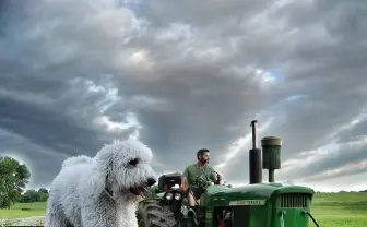 フォトショで巨大化した愛犬が超ファンタジー もっふもふで癒される…