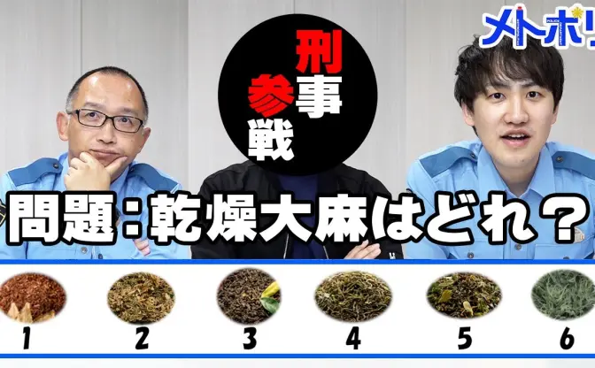 警視庁「乾燥大麻はどれ?」YouTuberっぽい薬物クイズが難しすぎる