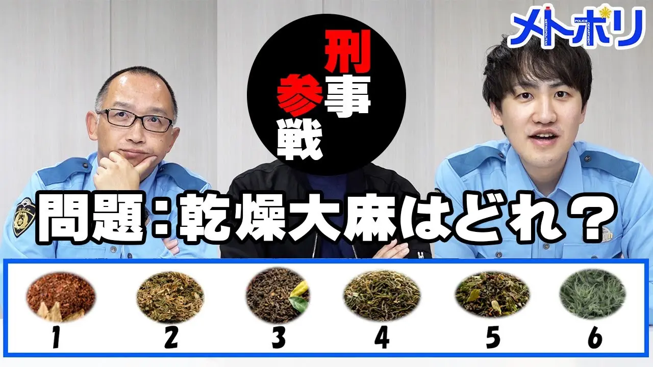 現役警察官が挑戦する違法薬物クイズ動画