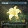 プロモカード《Gilded Lotus》