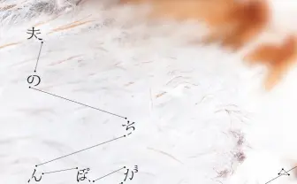 衝撃の私小説『夫のちんぽが入らない』実写化および漫画化が決定!