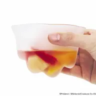 メタモンカップ10