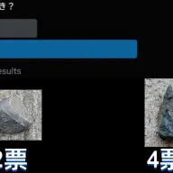 勝敗が決まりました
