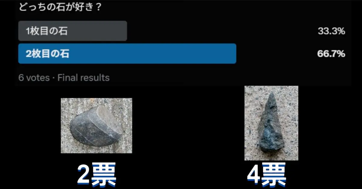 勝敗が決まりました