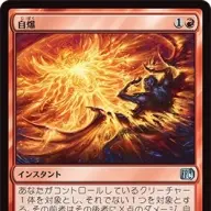 《自爆》
