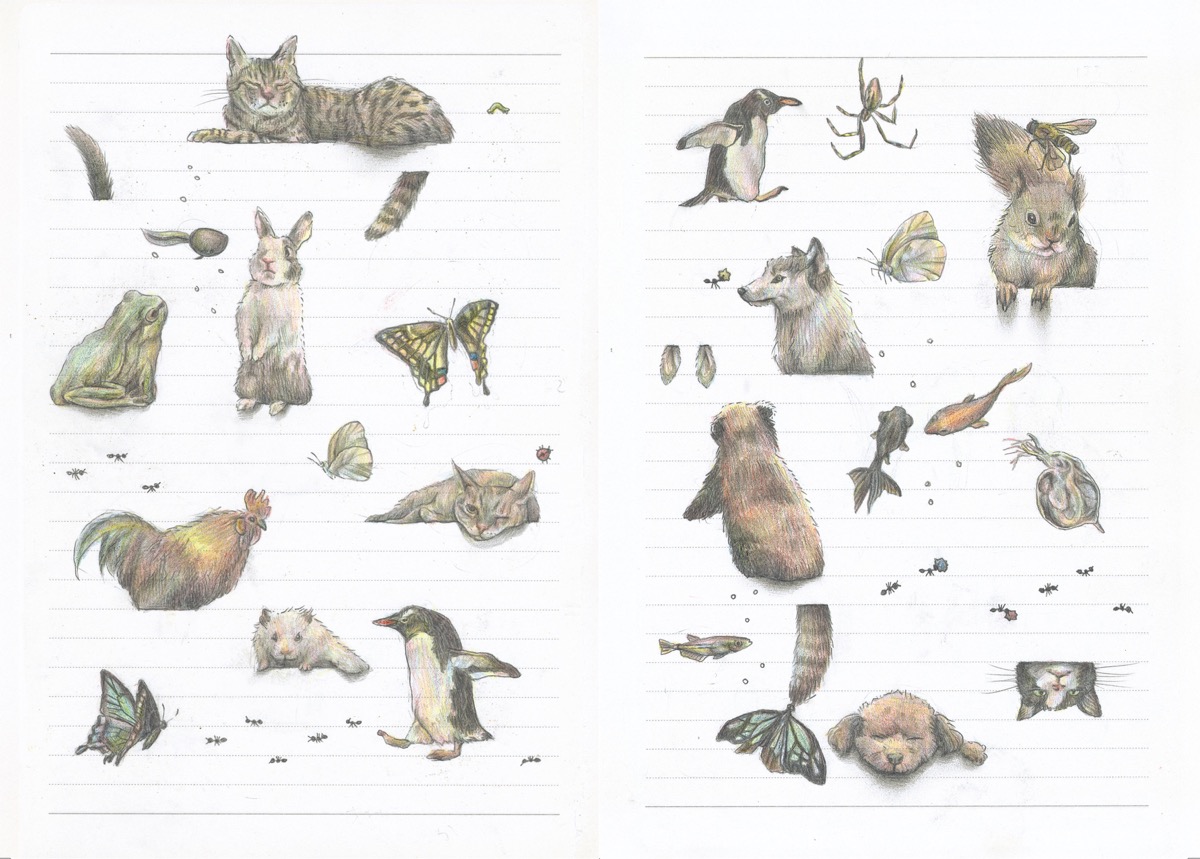 晴夏さんの作品集『罫線で遊ぶ動物』誌面サンプル2