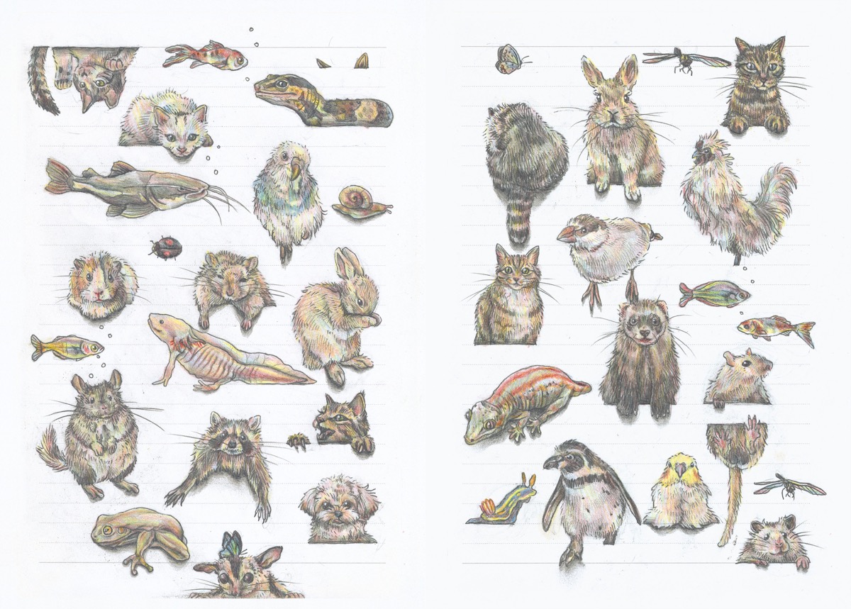 晴夏さんの作品集『罫線で遊ぶ動物』誌面サンプル3