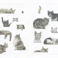 ライフワークとなった動物たちを描き続けることはライフワークに／ワニブックス提供※画像はイメージです
