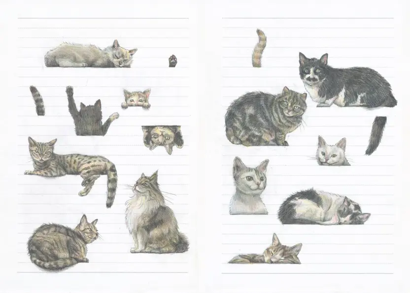ライフワークとなった動物たちを描き続けることはライフワークに／ワニブックス提供※画像はイメージです