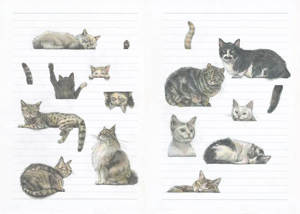 ライフワークとなった動物たちを描き続けることはライフワークに／ワニブックス提供※画像はイメージです