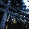 不気味な鳥居