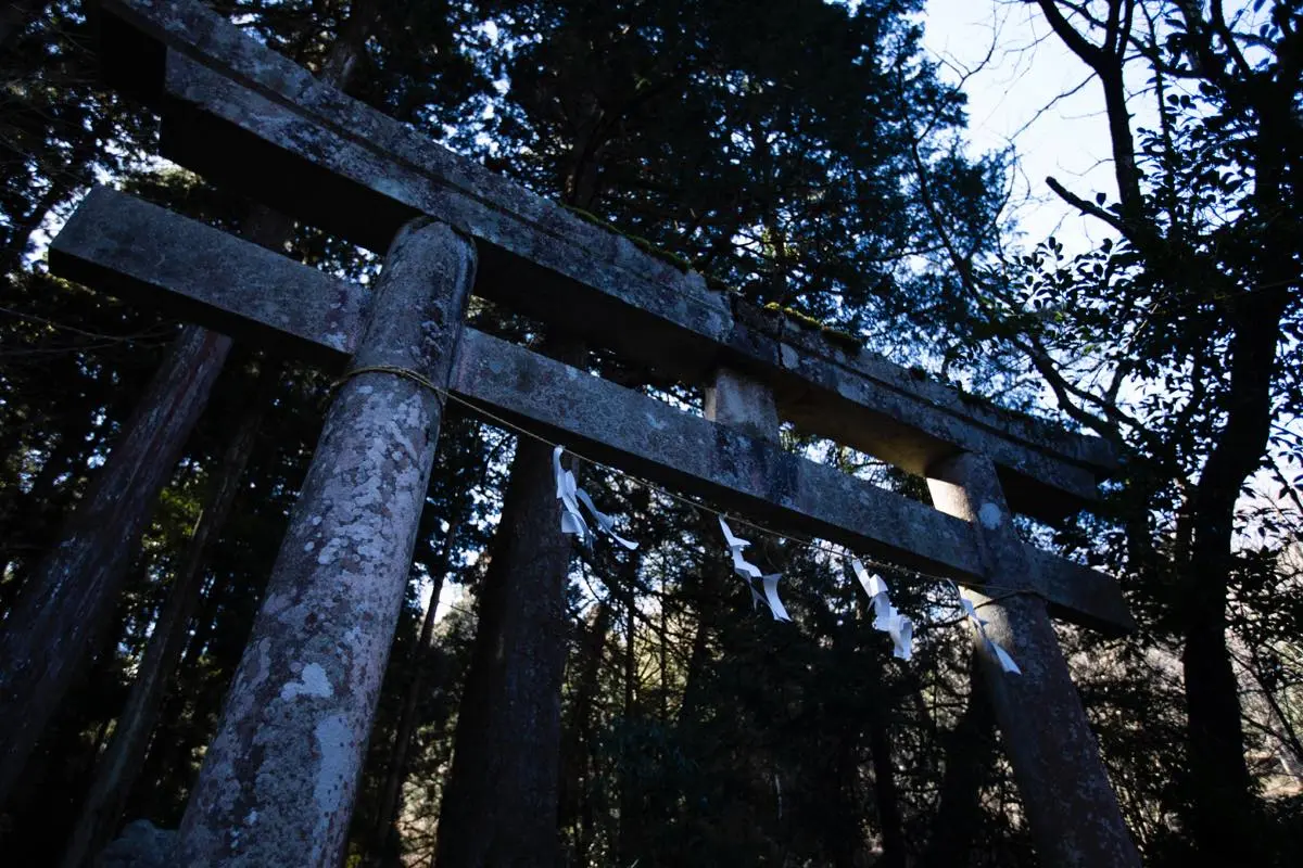 不気味な鳥居