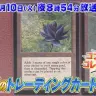 「開運！なんでも鑑定団」に出品された《ブラック・ロータス／Black Lotus》／画像はYouTubeのスクリーンショット
